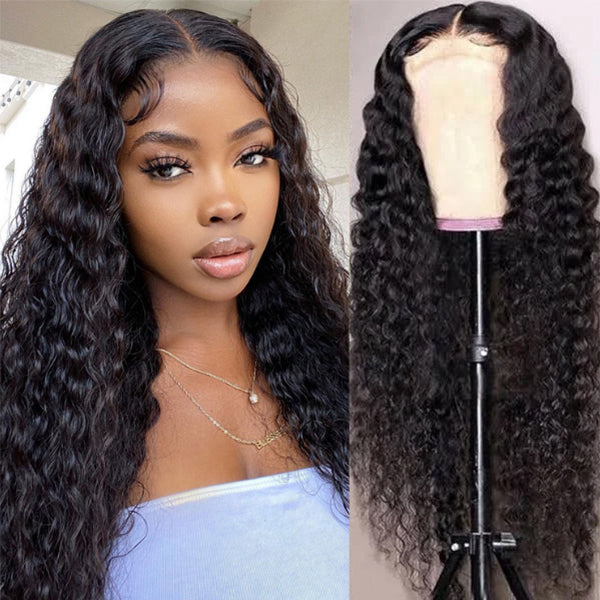 Wet and Wavy Human Hair Wig 5x5 Closure